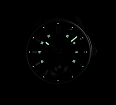 Tribute 1984 TCB 3603S 42mm 手動上鍊 (1)